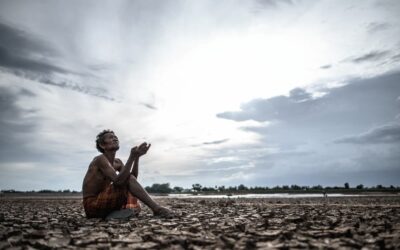 Desigualdades Sociales y Medioambientales: Un Mundo en Crisis.