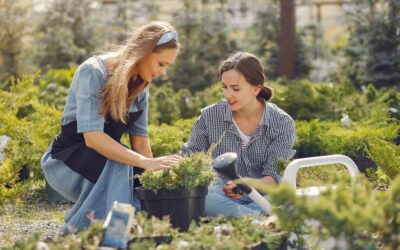 Jardín ecológico y sostenible: cómo minimizar su impacto ambiental.