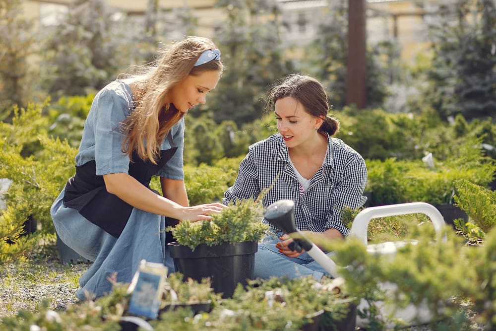 Jardín ecológico y sostenible: cómo minimizar su impacto ambiental.