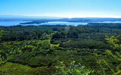 Paisaje de la Reserva Natural Educativa "Cerro Pistarini" con montañas y vegetación diversa.