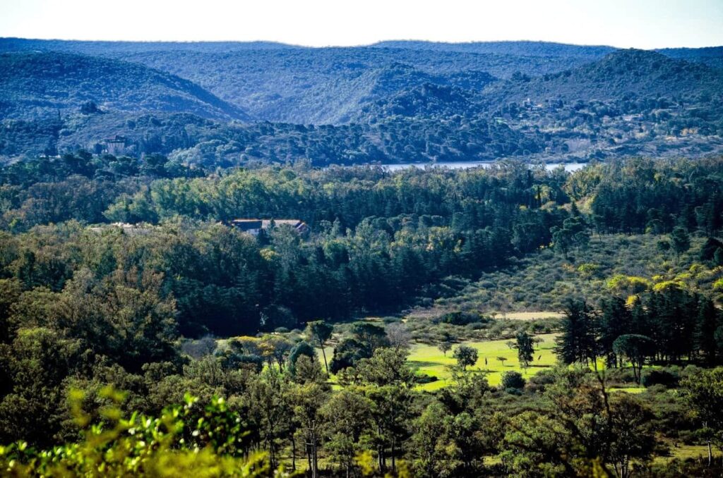 Vista panorámica de la Reserva Natural Educativa "Cerro Pistarini" en la provincia de Córdoba.