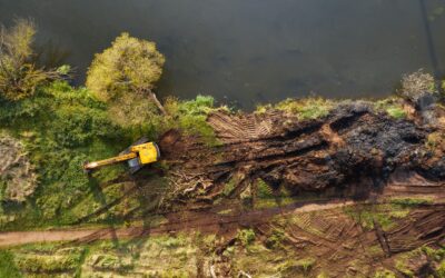 Consecuencias de la deforestación: un llamado a la acción