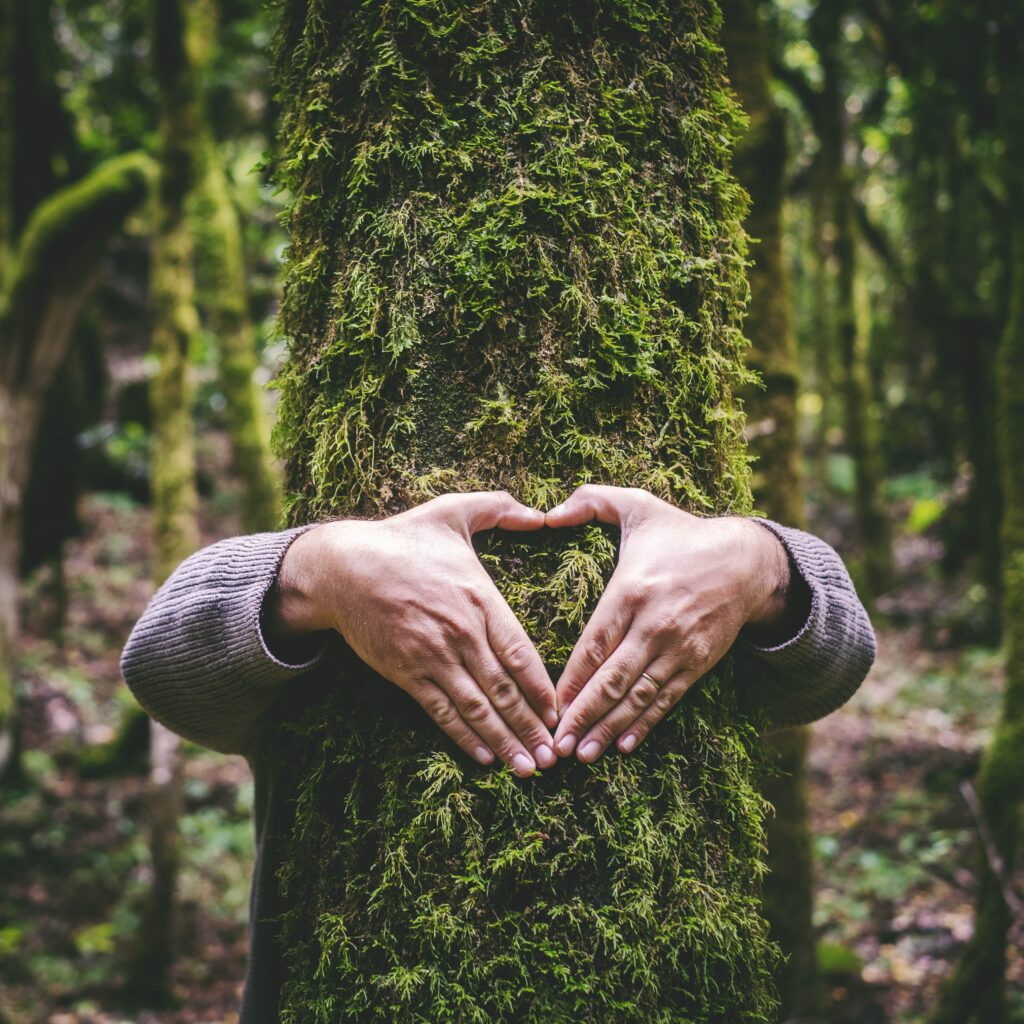 El poder curativo de los bosques