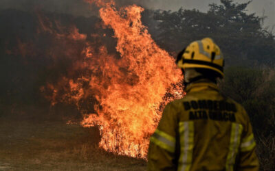 Bombero observa una pared de fuego en medio de un incendio forestal, rodeado de humo y vegetación en llamas.