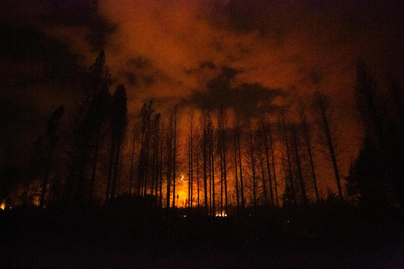 Incendio forestal nocturno en la Patagonia: siluetas de árboles calcinados iluminados por el fuego al fondo.
