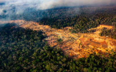 Vista aérea de una zona de deforestación masiva en el Gran Chaco, con grandes extensiones de bosque arrasado y humo elevándose sobre la selva nativa.
