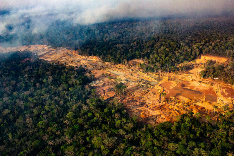Vista aérea de una zona de deforestación masiva en el Gran Chaco, con grandes extensiones de bosque arrasado y humo elevándose sobre la selva nativa.