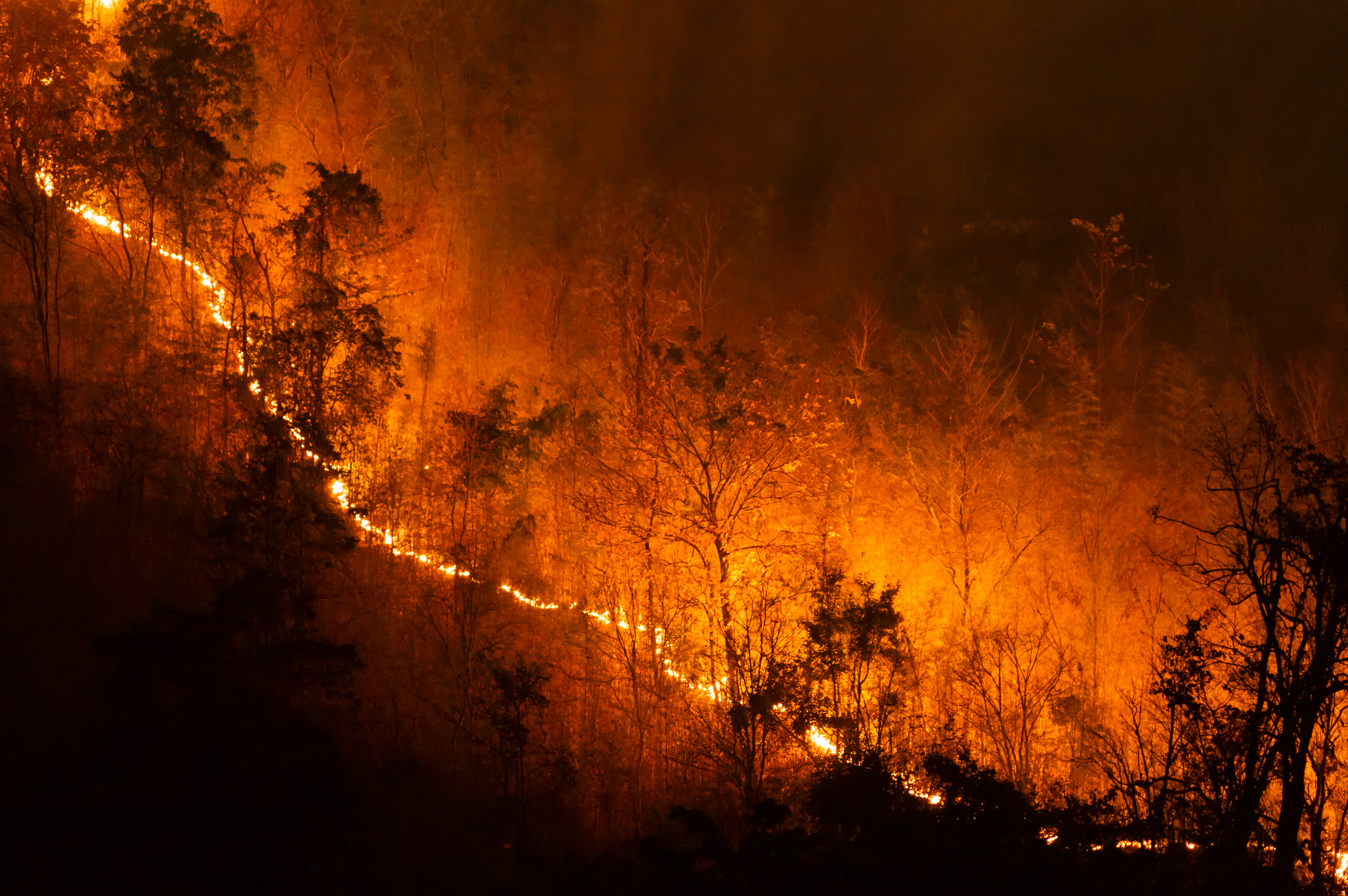 Vista nocturna de un incendio forestal activo avanzando por una ladera, con árboles envueltos en llamas y un intenso resplandor anaranjado iluminando el bosque.