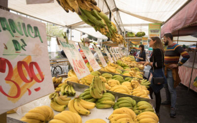 Personas compran bananos en un mercado al aire libre con múltiples variedades exhibidas y precios visibles, bajo una carpa blanca en una ciudad de Colombia.