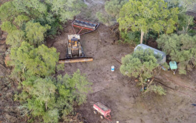 Vista aérea de una zona desmontada en el Gran Chaco, donde se observa maquinaria pesada rodeada por vegetación nativa parcialmente arrasada y algunos elementos de infraestructura rural.