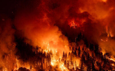Incendio forestal de gran magnitud arrasa con un bosque de pinos en una región montañosa, con intensas llamas y nubes densas de humo naranja bajo un cielo nocturno.