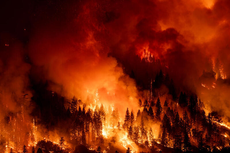 Incendio forestal de gran magnitud arrasa con un bosque de pinos en una región montañosa, con intensas llamas y nubes densas de humo naranja bajo un cielo nocturno.