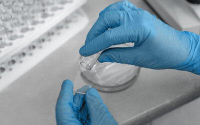 Primer plano de manos con guantes azules manipulando una lámina de vidrio y un tubo de ensayo en un entorno de laboratorio, representando procedimientos científicos.