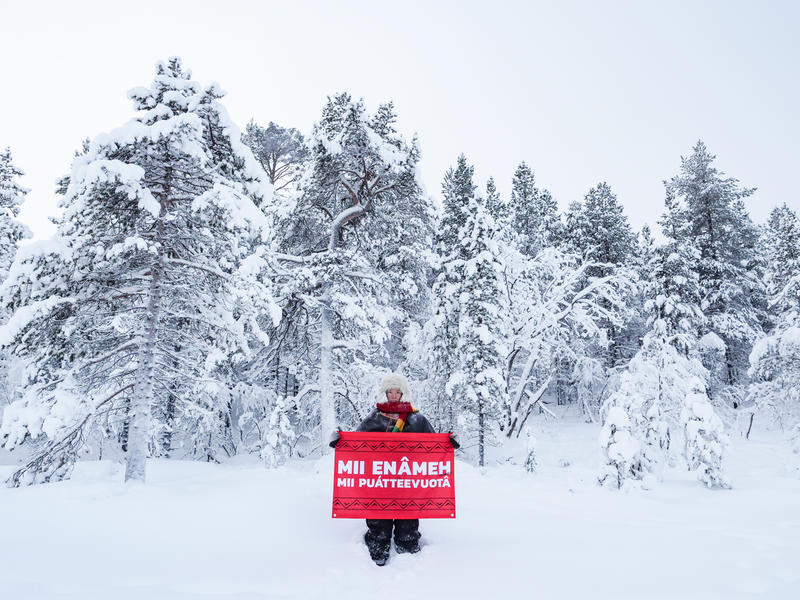 Persona en un bosque boreal nevado sostiene un cartel en idioma sámi, reclamando protección para los ecosistemas del norte.