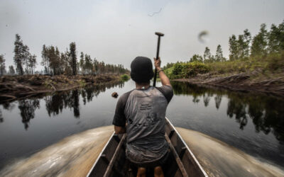 Persona navega en una canoa por un humedal en retroceso rodeado de árboles deforestados y vegetación degradada.