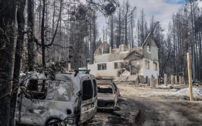 Viviendas y vehículos destruidos por un incendio forestal en una zona boscosa de la Patagonia argentina, con árboles calcinados y humo en el ambiente.