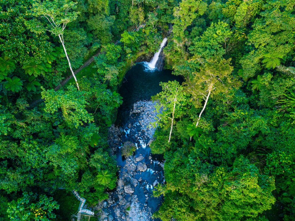 Vista aérea de una cascada y un arroyo rodeados por la exuberante vegetación de la selva amazónica en Bolivia.