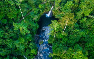 Vista aérea de una cascada y un arroyo rodeados por la exuberante vegetación de la selva amazónica en Bolivia.
