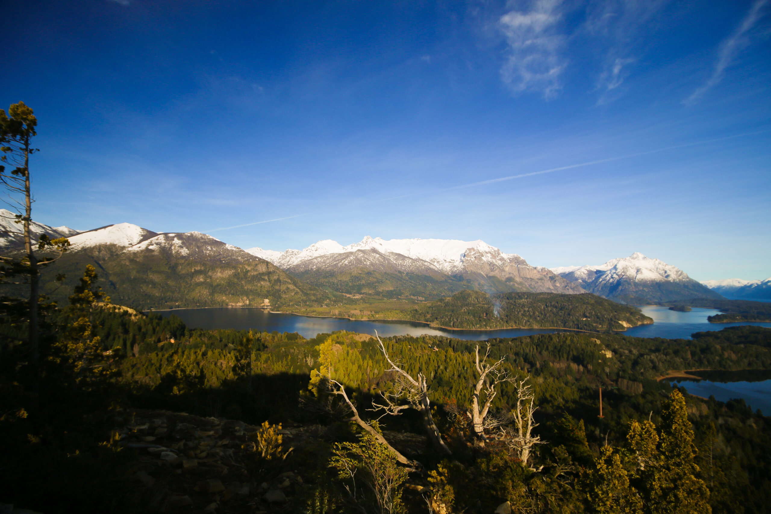 Vista panorámica del Parque Nacional Nahuel Huapi con montañas nevadas, lagos y bosques, escenario de un plan de reforestación con especies nativas.