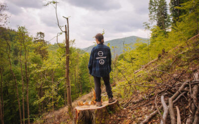 Persona con chaqueta de Greenpeace sobre un tocón mirando un bosque parcialmente talado.