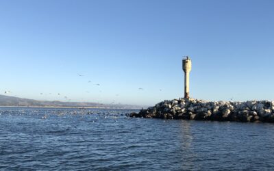 Faro viejo sobre rocas en la costa, con aves sobrevolando el mar en un día despejado.