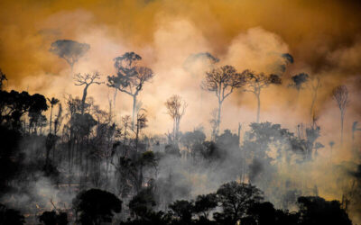 Bosque amazónico ardiendo entre llamas y humo denso bajo un cielo anaranjado.