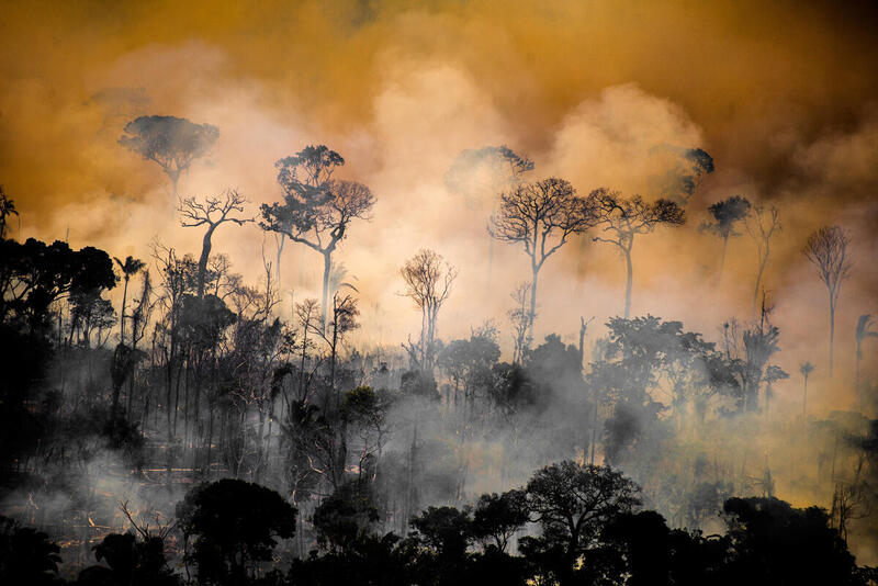 Bosque amazónico ardiendo entre llamas y humo denso bajo un cielo anaranjado.