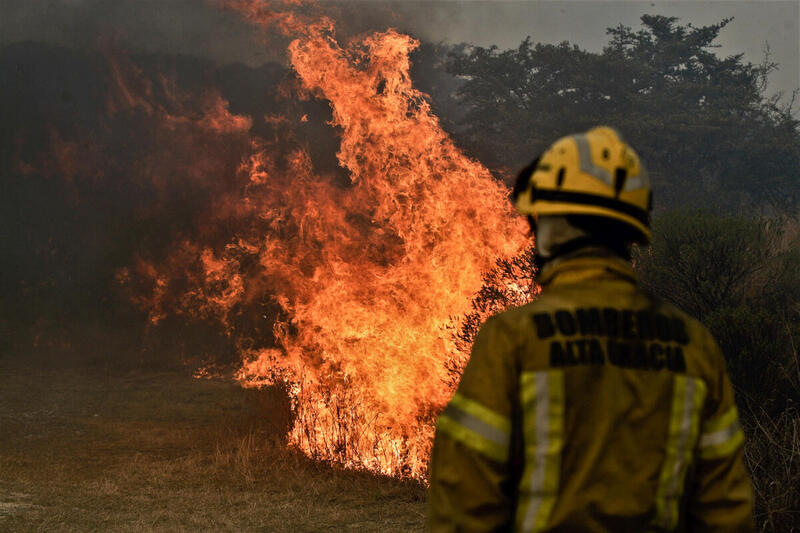 Bombero con traje amarillo observa llamas intensas en un incendio forestal rodeado de vegetación.