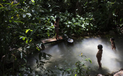 Niños bañándose y jugando en un arroyo rodeado de vegetación selvática