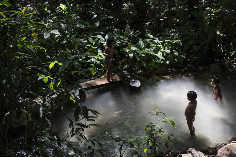 Niños bañándose y jugando en un arroyo rodeado de vegetación selvática