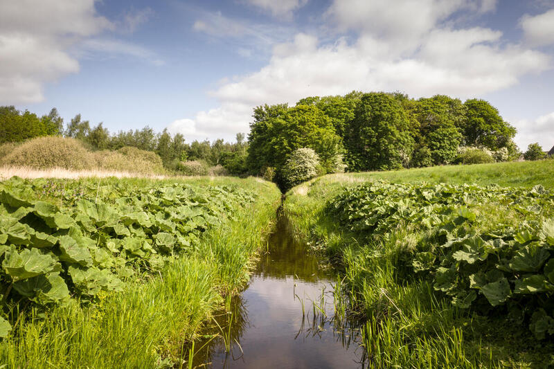 Pequeño canal de agua rodeado de vegetación verde y campos agrícolas con árboles al fondo bajo un cielo parcialmente nublado.