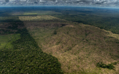 Vista aérea de la deforestación en la selva amazónica con claros entre áreas de bosque denso