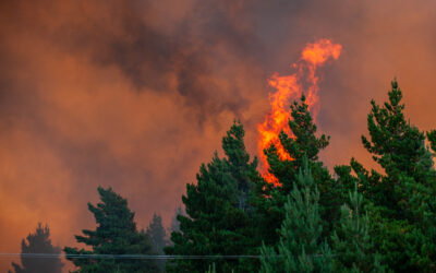 Llamas intensas consumiendo árboles en un incendio forestal bajo un cielo naranja