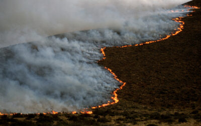 Fuego avanzando sobre una ladera cubierta de vegetación seca mientras una densa columna de humo se eleva hacia el cielo.