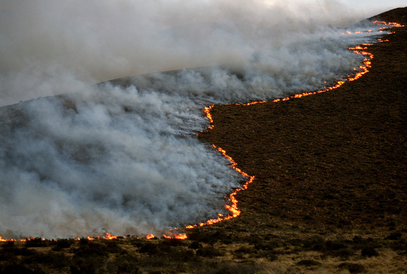 Fuego avanzando sobre una ladera cubierta de vegetación seca mientras una densa columna de humo se eleva hacia el cielo.