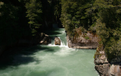Río de aguas turquesas fluyendo entre cañones rocosos y bosques verdes en la región patagónica, bajo un cielo despejado.