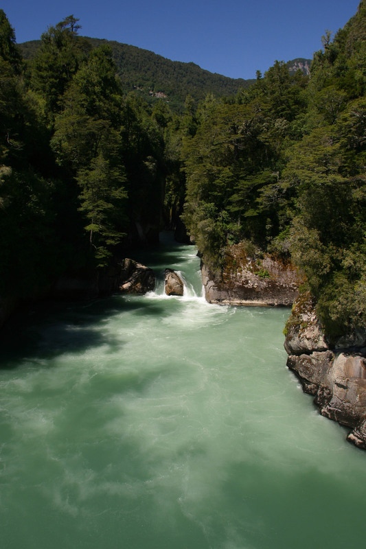 Río de aguas turquesas fluyendo entre cañones rocosos y bosques verdes en la región patagónica, bajo un cielo despejado.