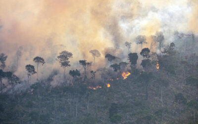Vista aérea de un incendio forestal que consume parte de la selva amazónica, con humo denso y árboles en llamas.