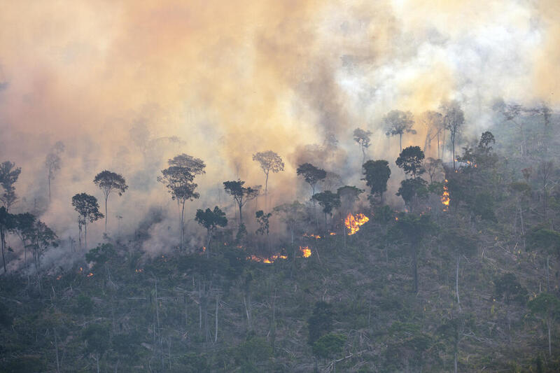 Vista aérea de un incendio forestal que consume parte de la selva amazónica, con humo denso y árboles en llamas.