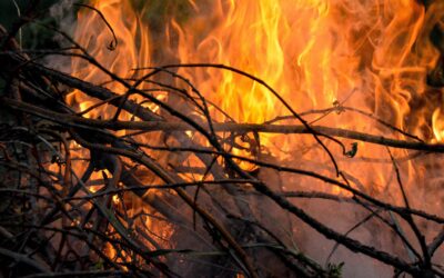 Primer plano de ramas secas ardiendo en una hoguera, con llamas intensas y humo ascendente.