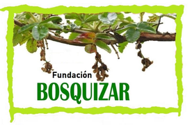 Logo de Bosquizar