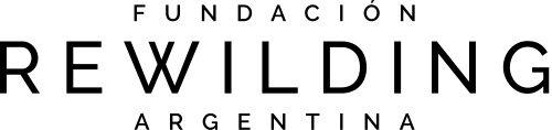 Logo de Fundación Rewilding Argentina